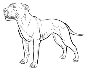 Animals, our faithful friends. Black and white image of a dog, coloring book for children.