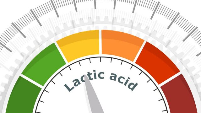 Scale with arrow. The lactic acid measuring device. Sign tachometer, speedometer, indicator.