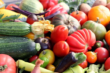 Fresh farm assorted vegetables close up selective focus.