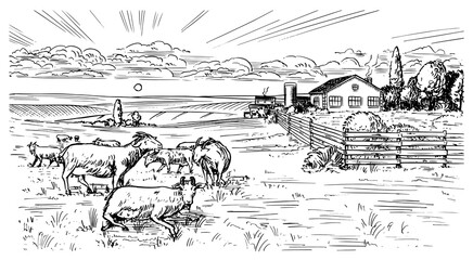 Rural meadow. A village landscape with sheep, hills and a farm. Sunny scenic country view. Hand drawn engraved sketch. Vintage rustic banner for wooden sign or badge or label.