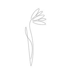 Spring flowers isolated on white background. Continuous line drawing. Vector illustration
