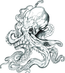 octopus sea black white sketch  vector illustration