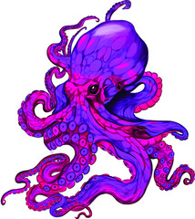 octopus red sea reptile vector illustration