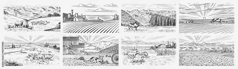 Wall mural Rural meadow set. A village landscape with cows, goats and lamb, hills and a farm. Sunny scenic country view. Hand drawn engraved sketch. Vintage rustic banner for wooden sign or badge or label.