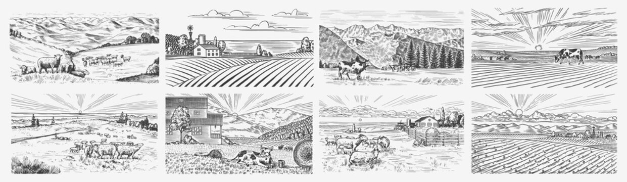 Rural meadow set. A village landscape with cows, goats and lamb, hills and a farm. Sunny scenic country view. Hand drawn engraved sketch. Vintage rustic banner for wooden sign or badge or label.