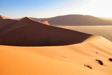 Plakat Dune 45 in Sossusvlei Namib Desert - Namib-Naukluft National Park, Namibia, Africa