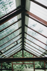 Roof of greenhouse from inside