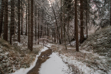Bach im Winter
