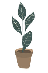 Fototapeta na wymiar Caring for home plants. Ward over flowers. Ficus with lettering and with a pattern. Plant care. Boho flat illustration for cards, banners, articles and your creativity.