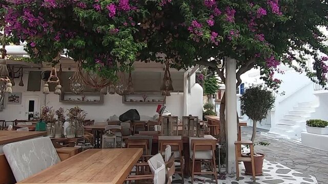 beatiful paper flower or buganville on a top a wood table in a greek house in mykonos