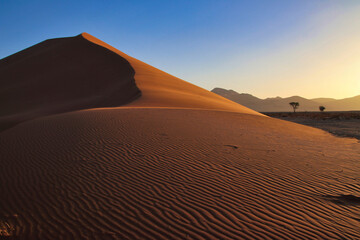 Fototapeta na wymiar Dune 45 in Sossusvlei Namib Desert - Namib-Naukluft National Park, Namibia, Africa
