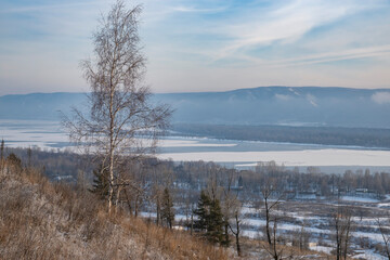 Winter, day, December, nature, snow, forest, snowdrift, trees, pine, high, birch, thicket, slope, landscape, walk, distance, horizon, expanse, blue, sky, river, riverbed, shore, mountains, island, ice