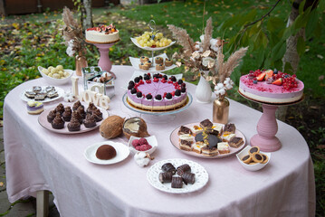Candy Bar from raw vegan cakes and pies