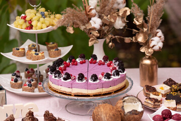 Candy Bar from raw vegan cakes and pies