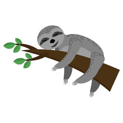 Sloth sleeping on a branch, cute gray animal with closed eyes on a brown branch with leaves in flat style