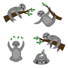 Set of sloths in various poses sitting on branches or surface, lazy animal of gray color in flat style
