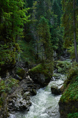 waterfall in the forest