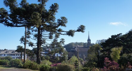 Gramado uma cidade encantadora, reino de tranquilidade e contemplação da natureza