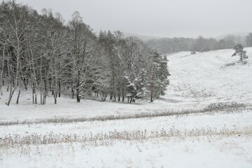 Frisch verschneite,  unberührte Winterlandschaft  bei Lichtstädt in Thüringen mit grafischen Elementen