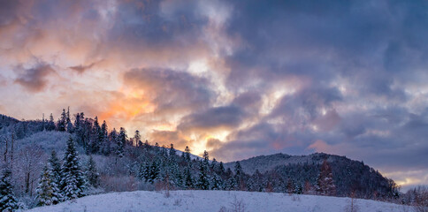 Stunning sunrise in the winter mountains. Forest in the snow. The rising sun beautifully colors the clouds pink