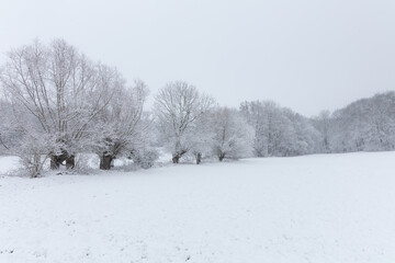 winter landscape in thuringia near Erfurt