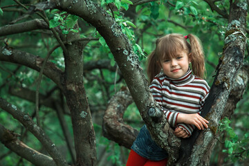 Naklejka na ściany i meble Five-year girl posing sitting on a tree in the green garden.