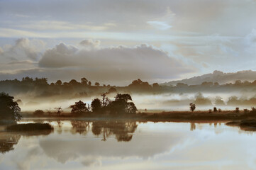 Morning fog over the Shannon River, Ireland