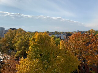 Fototapeta premium autumn in the park