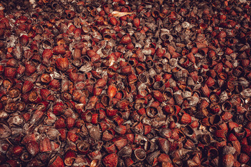 Outer shells of the Cacao fruits. Shells of cocoa fruit after seeds removed