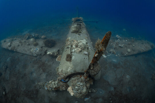 World War 2 Mitsubishi Zero fighter plane wreck underwater covered in coral growth in Papua New Guinea