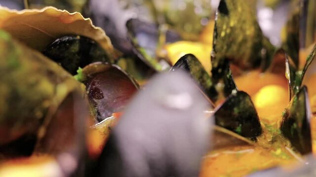 BUENA GASTRONOMIA DE ESPA&Ntilde;A PARA EL MUNDO