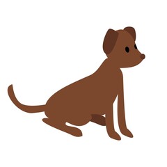 Fototapeta premium Braun dog Isometric 3d vector illustration isolated on blue background. Adorable canine character.