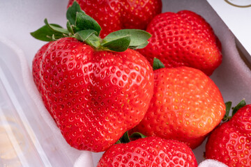 Red Strawberry packaging ready to export, Fresh Amaoh Strawberry in the box on White Background.
