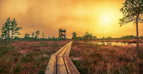 Panoramic view of sunset over bog with observation tower and wooden path, small ponds and pine...