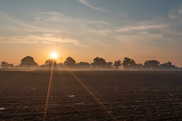 Obraz premium Sonnenaufgang Ahrensburg bei Hamburg