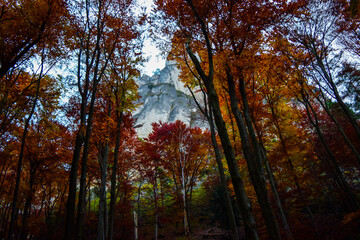 Fototapeta premium Autumn in forest with rocky mountains in background