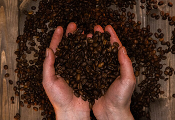 hands holding coffee beans on a black wooden background

