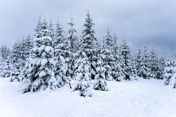 Winter Winterlandschaft