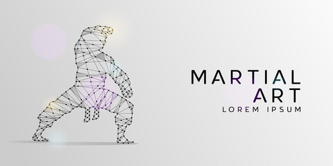 Particles geometric line art and dot of karate martial art design background
