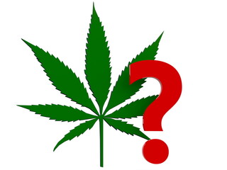 Concept of marijuana leaf with question mark