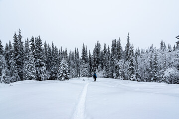 Man walking through wilderness snowy winter frosty wearing black overalls, pants and blue jacket standing out from white snow landscape surrounding.