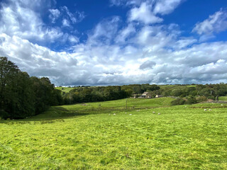 Landscape, with a large field, old trees, and a cloudy sky in, East Morton, Keighley, UK