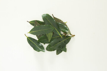 Bay leaves on white background