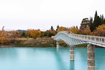 LAGO TEKAPO