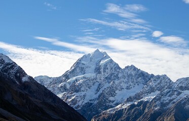 MONTA&Ntilde;A NEVADA