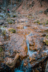 little stream in the mountains