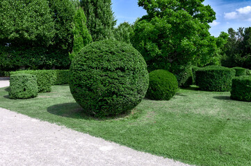 Spherical bushes in the park