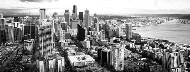 Settled in the Seattle skyline
