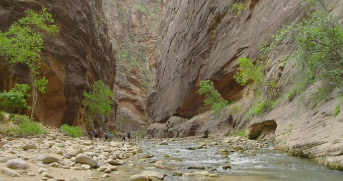 Tourists walking the Narrows path in Zion park