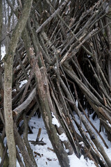 A tent made of sticks in the winter forest